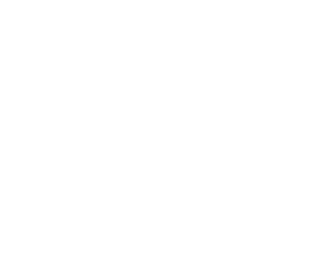 LECTURES